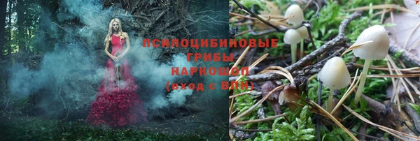 тгк Алексеевка