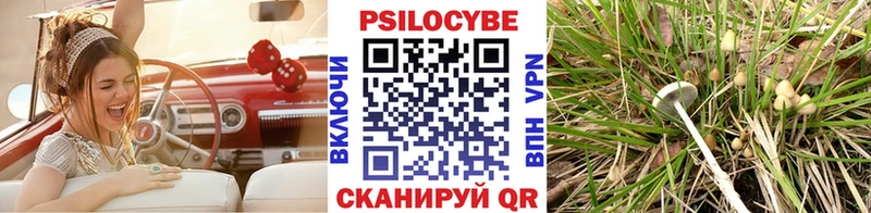 Псилоцибиновые грибы MAGIC MUSHROOMS  MEGA ТОР  Павлово 